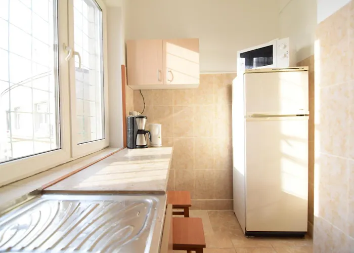 Apartment Piata Romana Down Town *